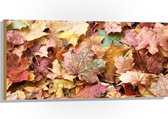 Hout - Stapel Herfstbladeren in Verschillende Kleuren - 100x50 cm - 9 mm dik - Foto op Hout (Met Ophangsysteem)