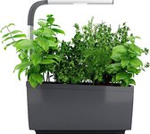 Binnentuin met LED-verlichting TREGREN T6 Kitchen Garden Anthracite Grey - tot 6 planten