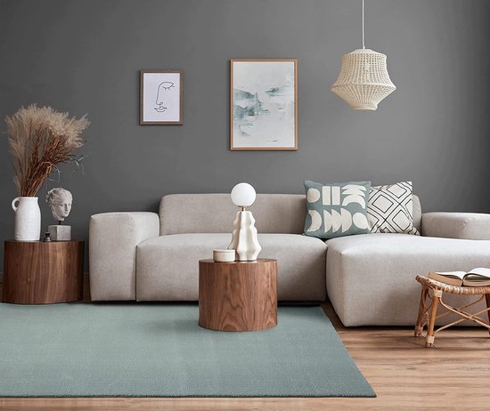 carpet city Wasbaar vloerkleed, eenkleurig, laagpolig, 80 x 280 cm