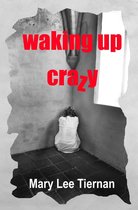 Dreams Untangled 2 - Waking Up Crazy