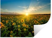 Stickers muraux - Film autocollant - Coucher de soleil - Fleurs - Tournesol - Horizon - Paysage - 80x60 cm - Film adhésif - Stickers muraux chambre d'enfant - Papier peint autocollant - Papier peint autocollant - Film autocollant