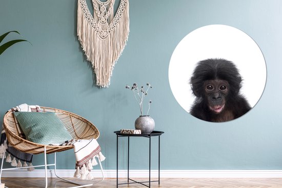 Cercle mural animaux - Cercle mural - Singe - Chimpanzé - Animaux - Enfants - Décoration murale garçons - Décoration murale filles - 90x90 cm - Plastique