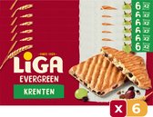 LiGA Evergreen koekjes Krenten 225g - 6 Stuks - Koek - Tussendoor - Voordeelverpakking