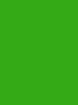 Bluuming Affairs - Papier peint vert universel - Papier peint - Chambre d'enfant - 0 x 10,05 M.