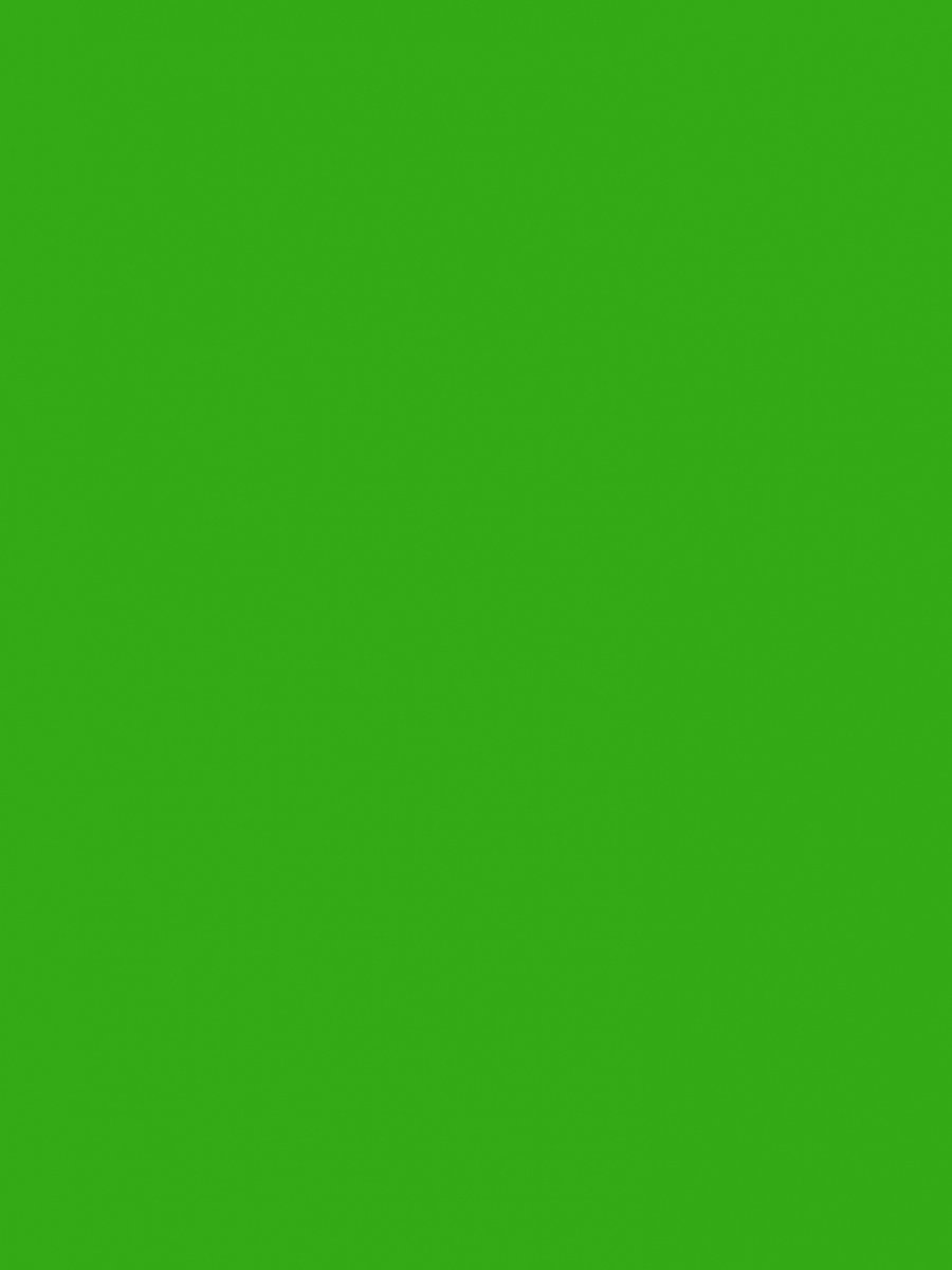 Behang – Groen – Eclectisch – Papierbehang - Kleurrijk wonen – Tienerkamer – Jongenskamer – Gamekamer – Woonkamer - Uni behang - Groen behang - 0,53 x 10,05 M.