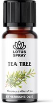 Tea Tree - Etherische olie [10ml]
