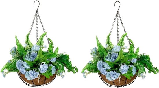 Beste hangplanten voor buiten 2025 | Voor Buiten