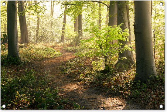Tuinposters buiten Bos - Bomen - Pad - Zon - Planten - Bladeren - Natuur - 90x60 cm - Tuindoek - Buitenposter Tuinposters buiten Bos - Bomen - Pad - Zon - Planten - Bladeren - Natuur - 90x60 cm