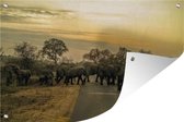 Muurdecoratie Olifanten die de weg kruisen in het Nationale Park van Kruger Zuid-Afrika - 180x120 cm - Tuinposter - Tuindoek - Buitenposter