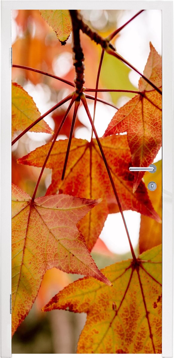Deurposter 80x205 cm - Deursticker Herfsttakken - Bladeren - Seizoenen - Landelijk - Meube