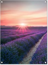 Tuinposter - Lavendel - Bloemen - Paars - Tuin - 60x80 cm - Tuinschilderij - Schuttingdoek - Tuindecoratie - Tuindoek - Buitenposter