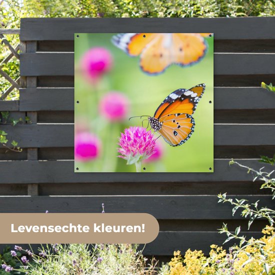 Tuinposter Vlinder vanaf € 37,50