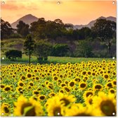 Gards Tuinposter Doorkijk Weg Door het Bergen Landschap - 150x100 cm
