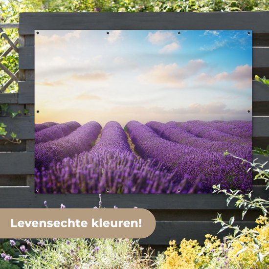 Tableau jardin - Jardin - Lavande - Ciel - Nuages - 160x120 cm - Tableau jardin - Toile jardin - Affiche extérieure