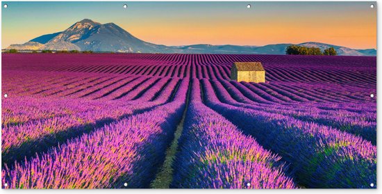 Gards Tuinposter Lavendel Bloemen in de Bergen - Abstract - 90x120 cm