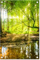 Tuindecoratie Bos - Landschap - Water - Bomen - Zon - Groen - Natuur - 40x60 cm - Tuinposter - Tuindoek - Buitenposter