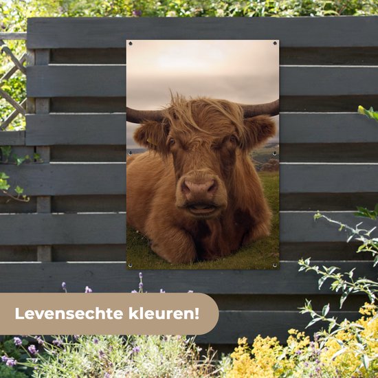 Affiche de jardin - Toile de jardin - Posters de jardin extérieures - Highlander écossais - Animaux - Berg - 80x120 cm - Jardin