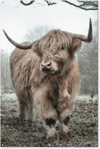 Muurdecoratie Schotse hooglander - Natuur - Herfst - Dieren - Wild - Bos - 120x180 cm - Tuinposter - Tuindoek - Buitenposter