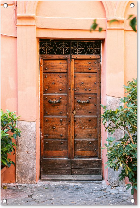 Porte - Bois - Plantes - Vert