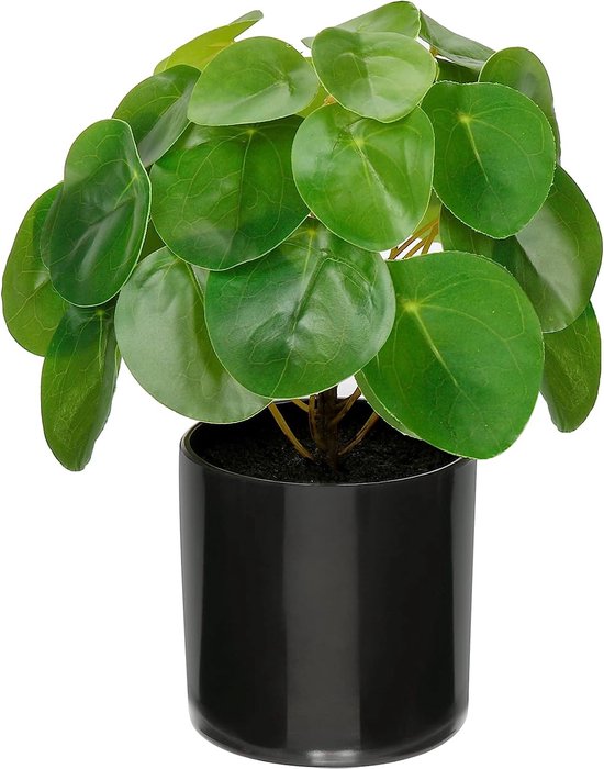 Kunstplanten, klein, decoratieve planten, kunstplanten, zoals echt, Chinese geldplant, Pilea peperomioïdes plastic planten voor slaapkamer, woonkamer, kantoor, decoratie, modern