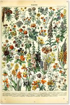 Muurdecoratie Bloemen - Planten - Vintage - Adolphe Millot - Kunst - 120x180 cm - Tuinposter - Tuindoek - Buitenposter