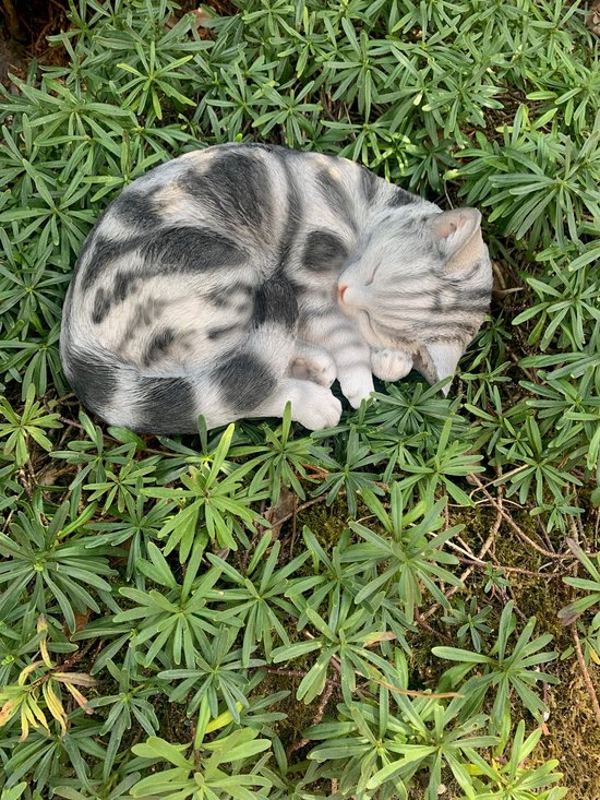 Figurine de chat tigré gris dormant enroulé, vue de dessus, parmi la verdure.