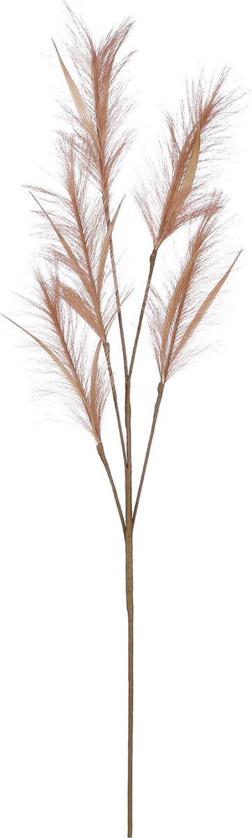 House of Seasons pluimgras losse steel/tak - meerdere stengels - lichtbruin - 98 cm - Decoratie kunst bloemen
