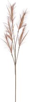 House of Seasons plume herbe tige/branche lâche - plusieurs tiges - marron clair - 98 cm - Décoration fleurs artificielles