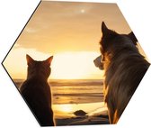 Dibond Hexagon - Hond en Kat Kijkend naar de Ondergaande Zon - 50x43.5 cm Foto op Hexagon (Met Ophangsysteem)