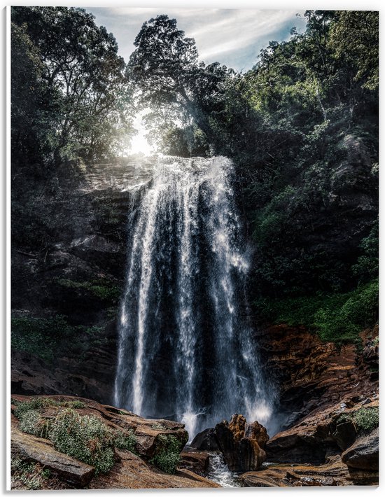 PVC Schuimplaat- Water - Waterval - Stenen - Bomen - Planten - Kleuren - 30x40 cm Foto op PVC Schuimplaat