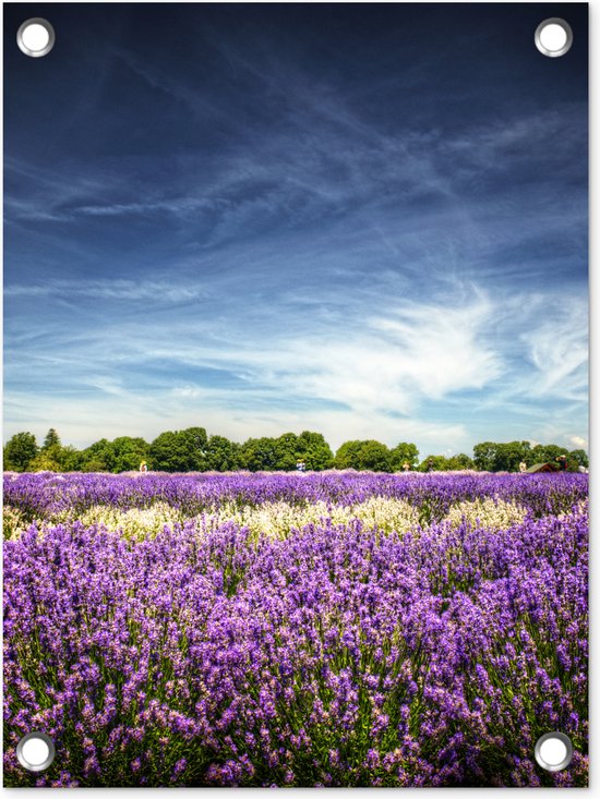 Tuin decoratie Blauwe lucht boven lavendel in de natuur - 30x40 cm - Tuindoek - Buitenposter