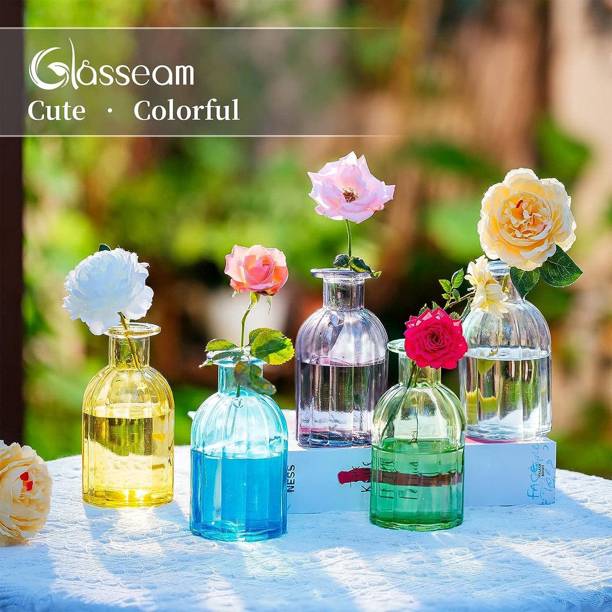 Glasseam Kleine Bud Vaas voor Bloemen: Glazen Vazen voor Decor Duidelijke Vaas Set van 5 voor Home Centrepiece Wedding Party Woonkamer Eettafel Decoraties - Mini Vaas voor Bloemen Planten Snijden Glasseam Kleine Bud Vaas voor Bloemen: Glazen Vazen voor Decor Duidelijke Vaas Set van 5 voor Home Centrepiece Wedding Party Woonkamer Eettafel Decoraties - Mini Vaas voor Bloemen Planten Snijden