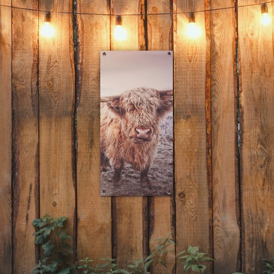 Poster de jardin Highlanders écossais - Lumière - Air - Nature - 40x80 cm - Décoration murale Outdoor - Poster de jardin - Toile de jardin - Poster de clôture - Tableau de jardin