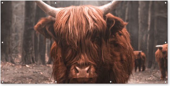 Schuttingposter Schotse hooglander - Bos - Koe - Dieren - Natuur - 200x100 cm - Tuindoek