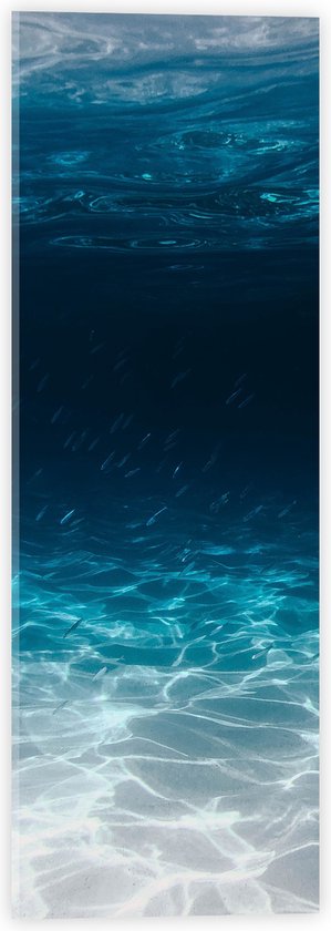 Acrylglas - Zee - Oceaan - Onderwater - Onderwaterleven - Schol - Vissen - Dieren - 20x60 cm Foto op Acrylglas (Wanddecoratie op Acrylaat)