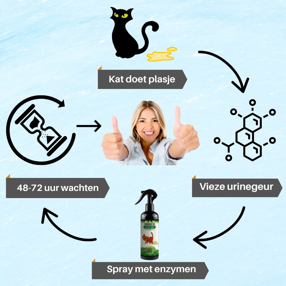 Urinegeur Verwijderaar Kat Op basis van natuurlijke enzymen Urinevlekken en...