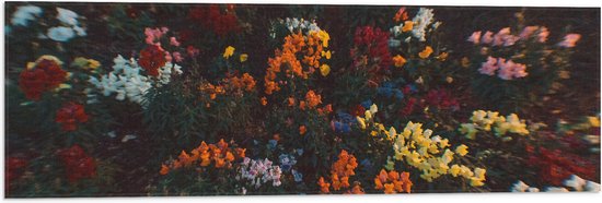 Vlag - Bloemen - Wazig - Natuur - Bossen - Kleuren - Bladeren - 90x30 cm Foto op Polyester Vlag