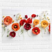 Muursticker - Rij van Planten en Bloemen in Verschillende Kleuren en Soorten op Wit Oppervlak - 80x60 cm Foto op Muursticker