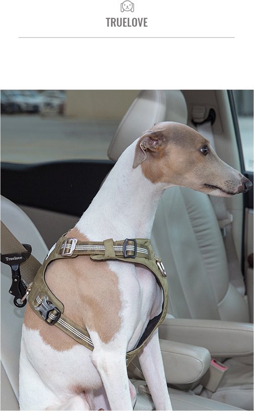Ruffwear, Load Up – Arnés para perro, arnés de seguridad para autoóvil