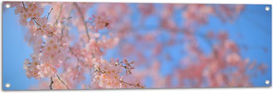 Tuinposter – Boom - Takken - Bloesem - Roze - 120x40 cm Foto op Tuinposter (wanddecoratie voor buiten en binnen)
