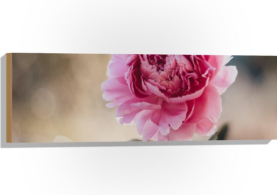 Hout - Bloem - Roze - Bladeren - Natuur - 90x30 cm - 9 mm dik - Foto op Hout (Met Ophangsysteem)