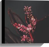 Canvas - Close-up - Bloem - Natuur - Roze - 30x30 cm Foto op Canvas Schilderij (Wanddecoratie op Canvas)