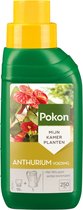 Pokon Anthurium Voeding - 250ml - Plantenvoeding - 10ml per 1L water