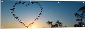 Tuinposter – Zwerm Vogels Vliegend in Hartvorm boven het Water - 150x50 cm Foto op Tuinposter (wanddecoratie voor buiten en binnen)