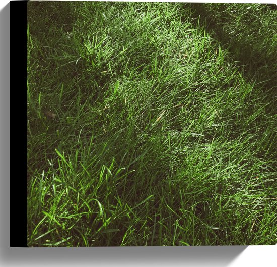 Canvas - Groen - Gras - Natuur - 30x30 cm Foto op Canvas Schilderij (Wanddecoratie op Canvas)