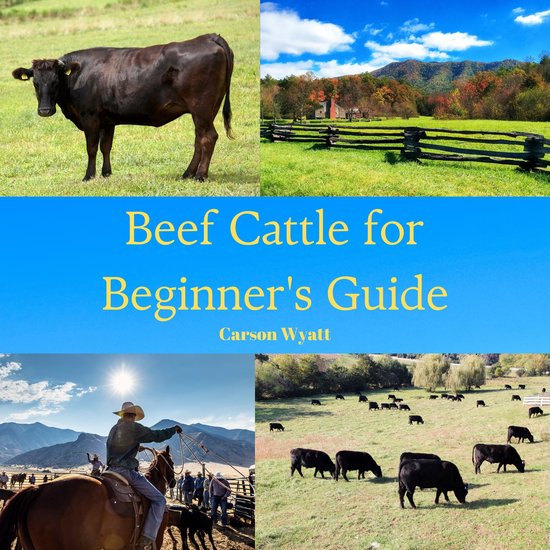Raising Beef Cattle for Beginner's Guide - cover