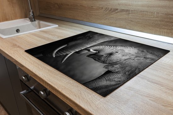 Protection induction - Éléphant et Bébé éléphant - 60x52 cm - Protection induction - Plaque de cuisson induction - Tapis induction - Antidérapant - Décoration Cuisine - Accessoires de vêtements pour bébé de Cuisine