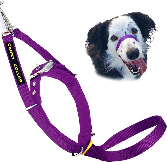 Canny Collar – Anti-Trek Hoofdhalsband voor Honden | Trainingshulpmiddel tegen Trekken aan de Lijn | Zacht, Veilig en Zonder Wurging voor Rustige Wandelingen – Paars, Maat 2