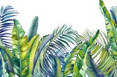 Fotobehang Groene En Blauwe Tropische Planten - Vliesbehang - 360 x 240 cm