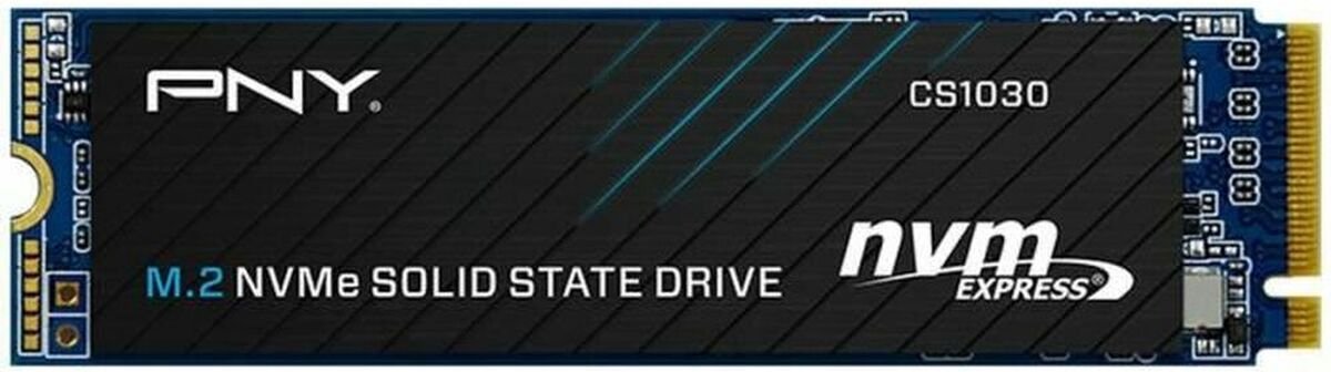 Hard Drive PNY M280CS1030-250-RB